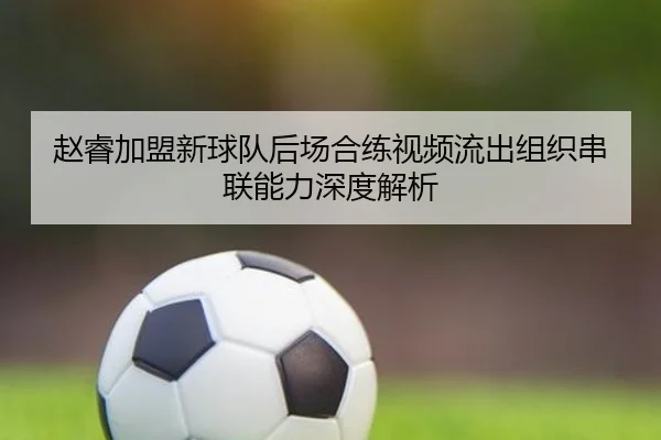 赵睿加盟新球队后场合练视频流出组织串联能力深度解析